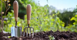 Day Gift Guide For Gardening Dads