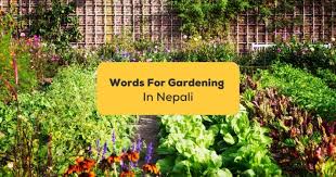 Bountiful Nepali Words For Gardening