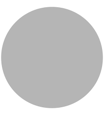 Annie Sloan Chicago Grey Wall Paint