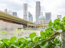 15 Beautiful Gardens In Singapore To