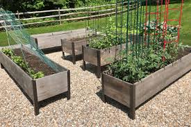 Vegetables For Raised Bed Gardens