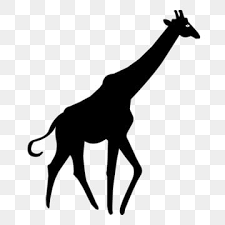 Giraffe Silhouette Png And Vector