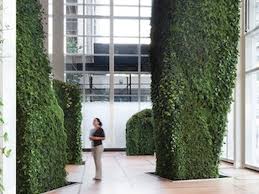 Landscape Designer Margie Ruddick