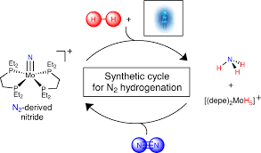 Ammonia Synthesis By Photocatalytic