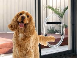 Pet Doors In Glass For Dogs And Cats