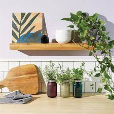 Modern Sprout Indoor Herb Garden Kit