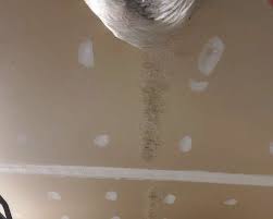 Ceiling Mold Growth Learn The Cause