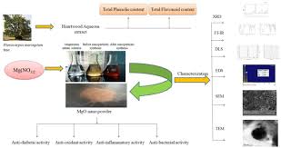 Magnesium Oxide Nanoparticles