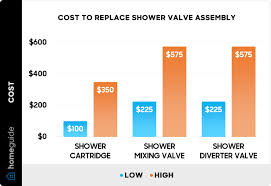 2024 Shower Valve Replacement Cost