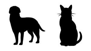 Cat Shadow Vector Art Icons And