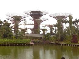 The Singapore Gardens By The Bay