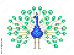 Peacock Displaying Beautiful Feathery