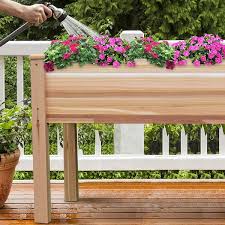 Raised Garden Bed Cedar Wood Elevated