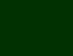 Premium Range Nippon Paint Dark Green
