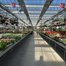 Photos At Suburban Lawn Garden