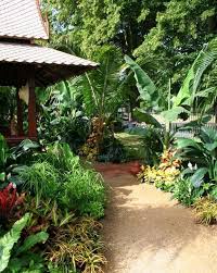 Tropical Landscaping Tropical Garden