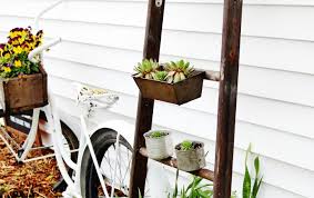 Old Ladder Succulent Garden Plant Stand