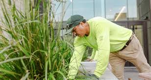 Mulhall S Nursery Garden Center