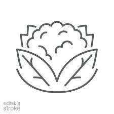 Cauliflower Icon Organic Vegetables