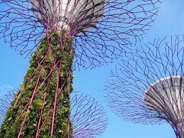 Gardens By The Bay Grant Associates