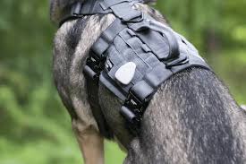 Modern Icon Tracking Dog Harness An