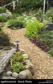 Cedar Mulch Path Through Garden Borders