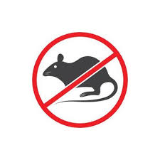 Rodent Control Vector Art Icons And