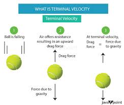 Terminal Velocity Javatpoint