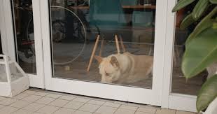 How To Install A Dog Door In A Screen