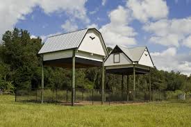 Selecting A Quality Bat House Merlin