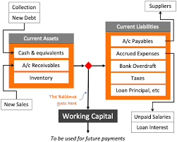 Operating Cash Cycle Liquidity Ratios