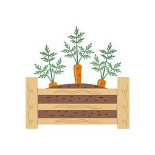 Wooden Garden Box With Seedlings Young