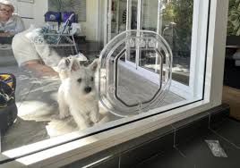 Dog Doors Installers Sydney Sydney