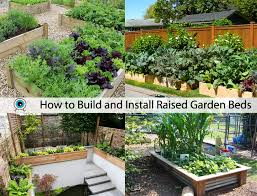 Raised Garden Beds How To Build And