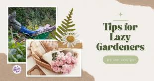 Tips For Lazy Gardeners Allmomdoes