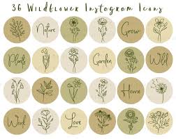 Wildflower Instagram Highlight Cover