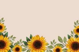 Sunflower Background Images Free