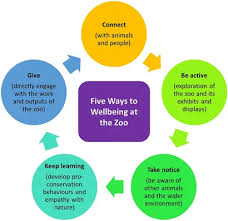 Five Ways To Wellbeing At The Zoo
