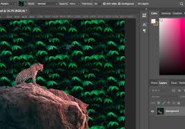 Paint Bucket Tool In Photo