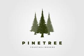 Pine Tree Logo Vector Design And Icon