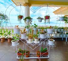 81 Balcony Garden Ideas To Beautify