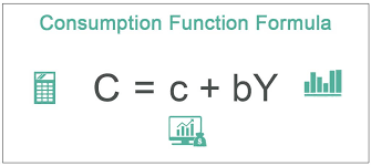 Consumption Function Definition