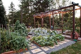Ideas For Growing A Vegetable Garden