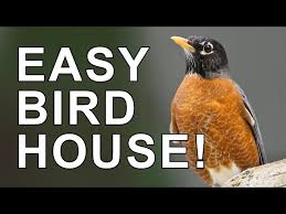 The Ledge Nest Bird House