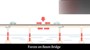 forces on a beam bridge diagram quizlet