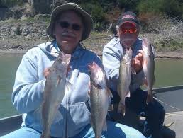 missouri river south dakota walleye