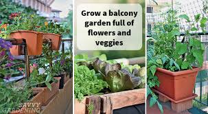 Grow A Balcony Garden Full Of Veggies