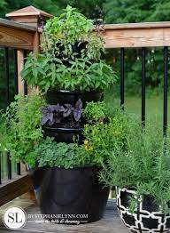 Herb Garden Pots