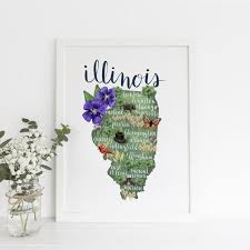 Illinois State Map Gift Ilrated