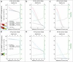 optimizing proton minibeam radiotherapy